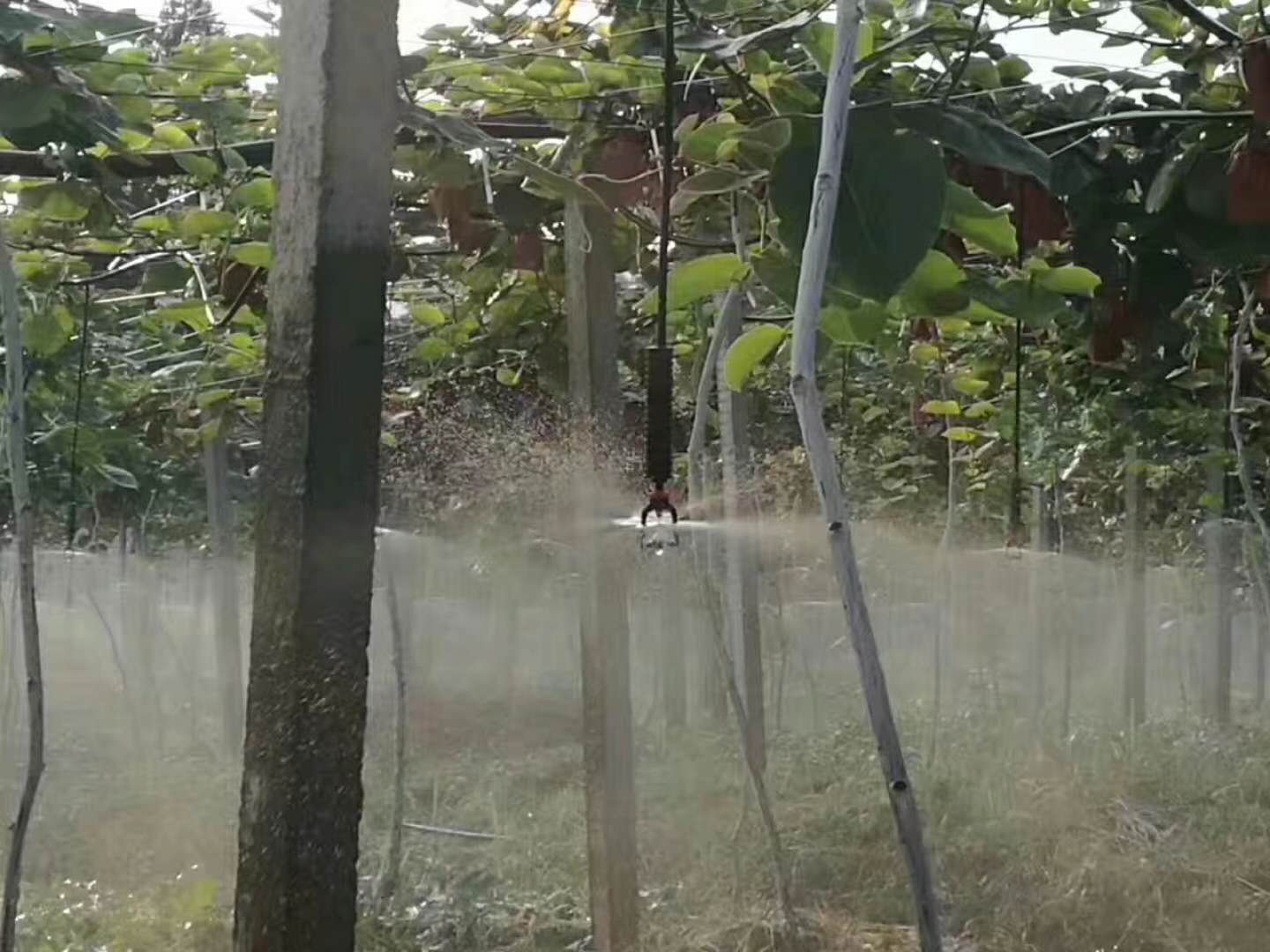 水肥一体机.jpg
